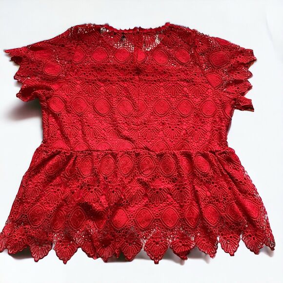 Sold! Lane Bryant Womens Blouse Size 24 Red Scalloped Lace Peplum Shirt Top - Picture 3 of 11